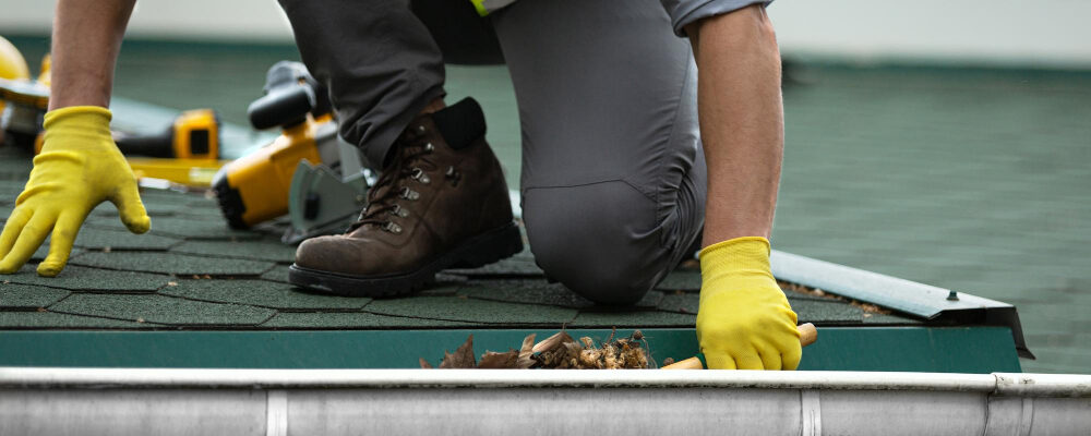 Gutter Cleaning Services